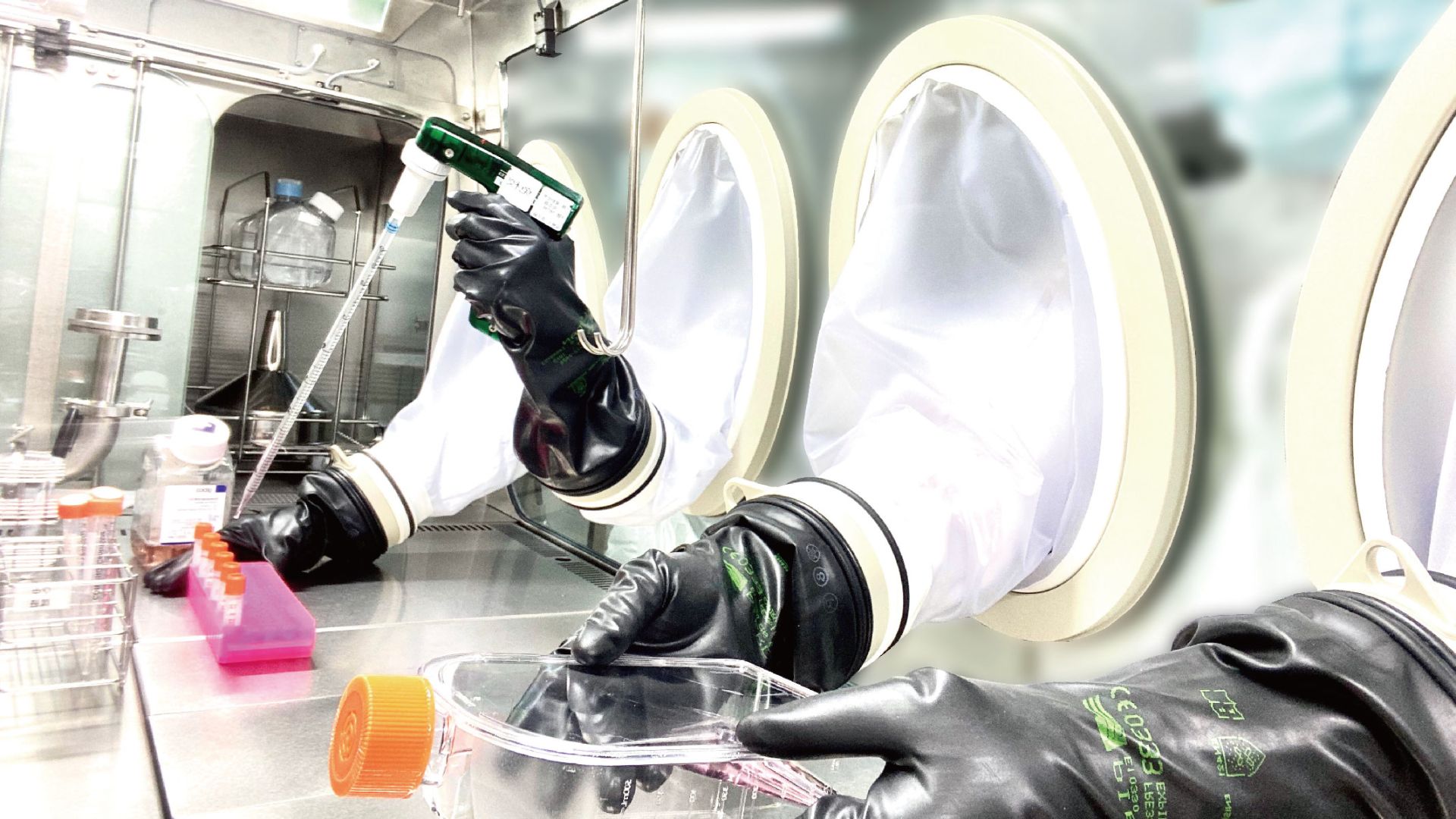 Gwo Xi Stem Cell Files Drug Master File (DMF) with FDA, Integrating into the Global Regenerative Medicine Industry Chain